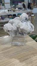 Load and play video in Gallery viewer, White Calcite Cluster
